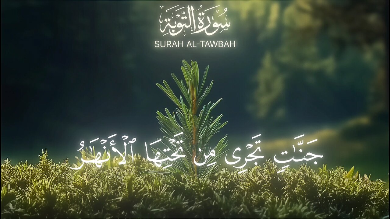 #القرآن_الكريم