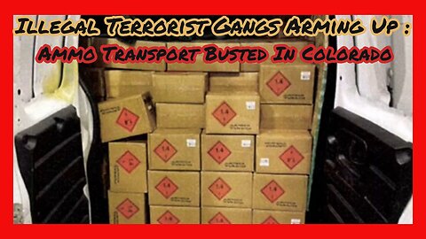 Episode 35 : Illegal Terrorist Gangs Arming Up !!!