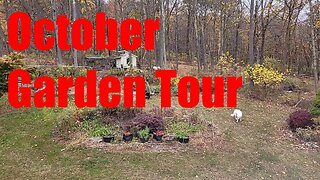 Garden Tour: October
