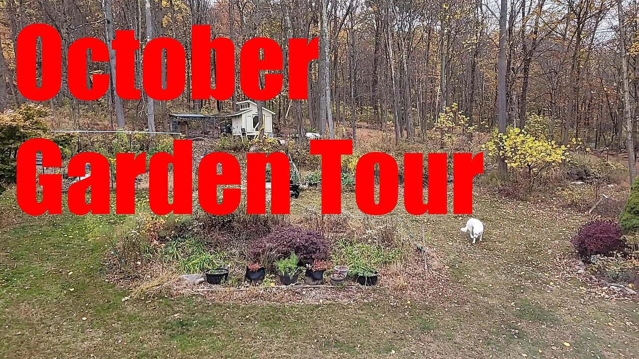 Garden Tour: October