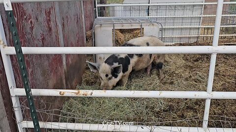 Graham Family Farm NW: 9:30 AM July 19 2025