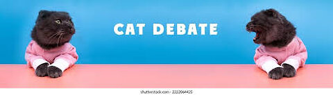 Cats make everything better.