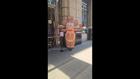 Nutty Air Dancer