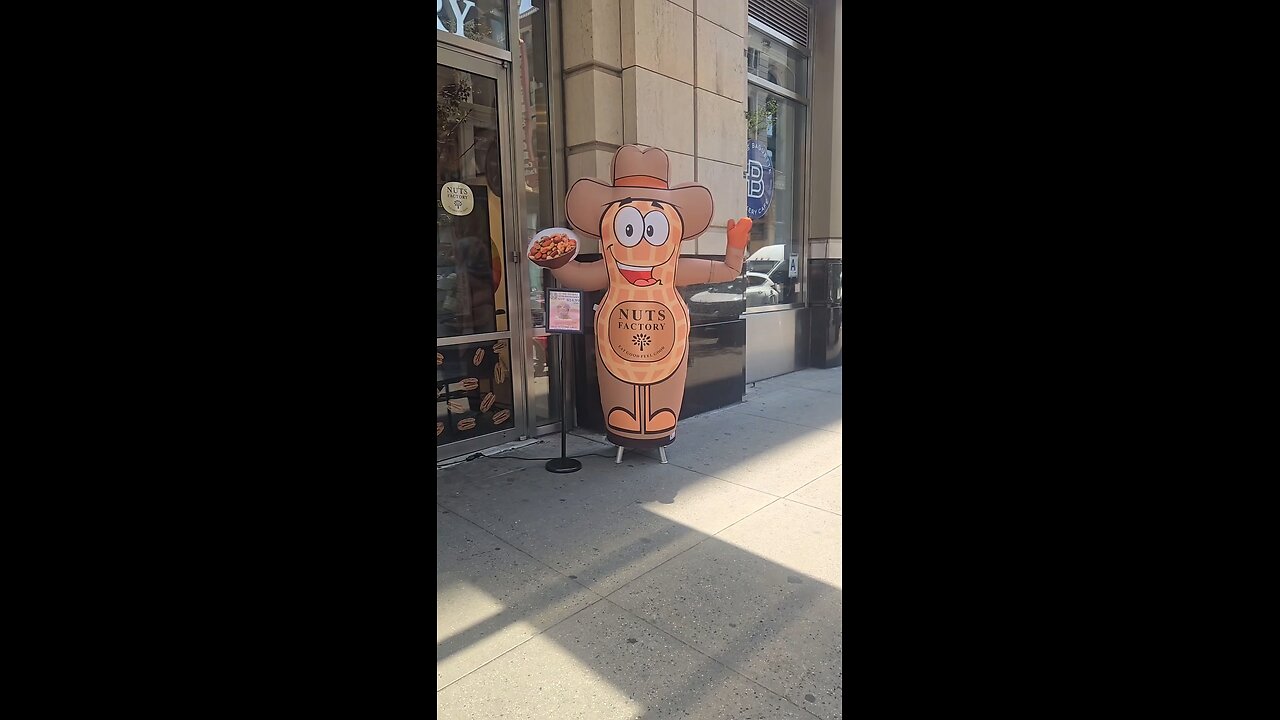 Nutty Air Dancer