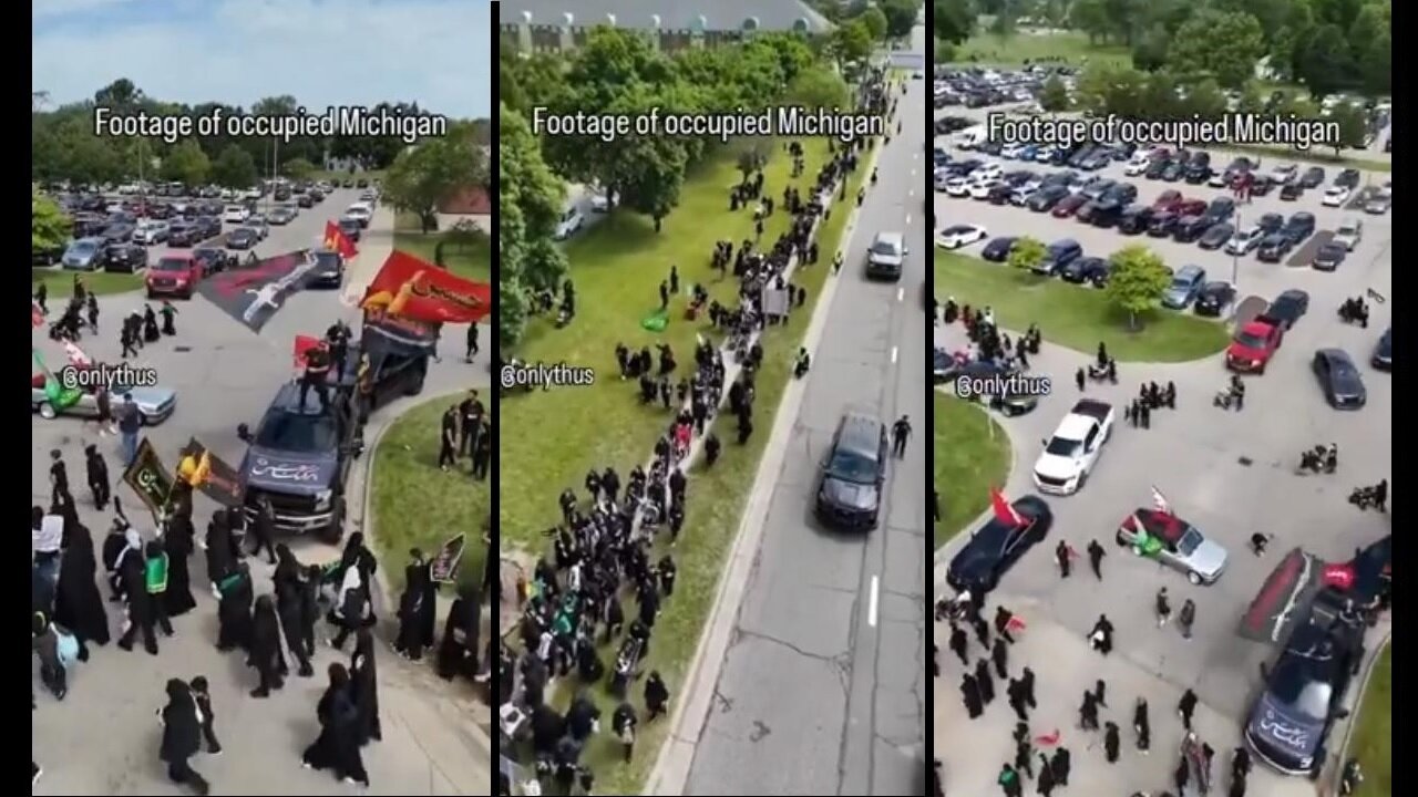 Occupied Michigan