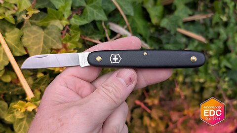 Why I’m Still Carrying a Knife Made for Plants - Victorinox Floral Knife