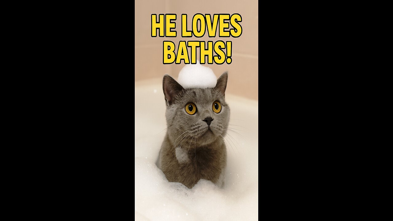 He LOVES baths! 😱🐱 Have you ever seen a cat like this?!