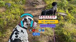Skogpod 10. mai 2025