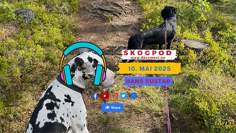 Skogpod 10. mai 2025