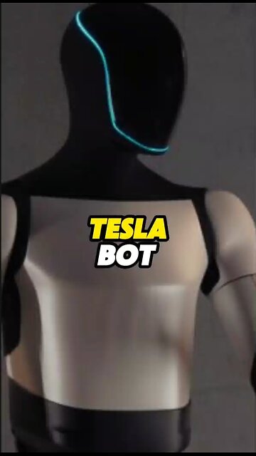 Tesla Bot