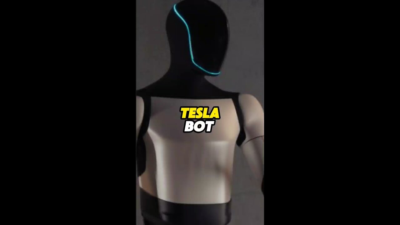 Tesla Bot
