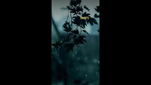 RAIN. Even when you run you still getting Wet.