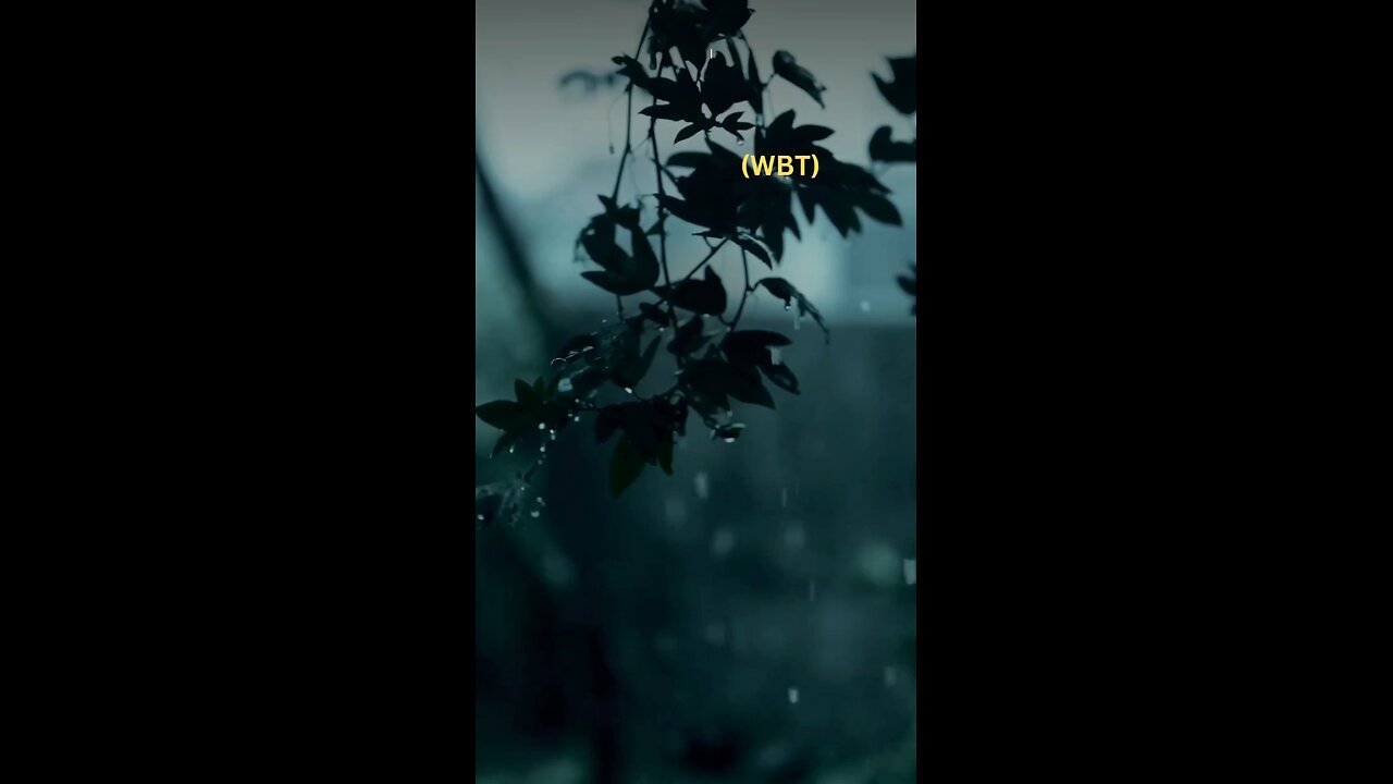 RAIN. Even when you run you still getting Wet.