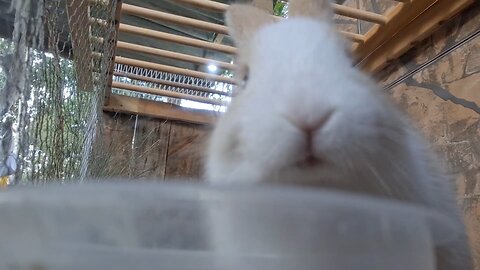 this is magali 🐰🥰
