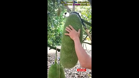 When the Fruit Realizes It’s Next 🍐😳✂️ #Shorts