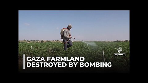 And Israel's near-constant bombardment has destroyed what was once fertile farmland @timetoscroll123