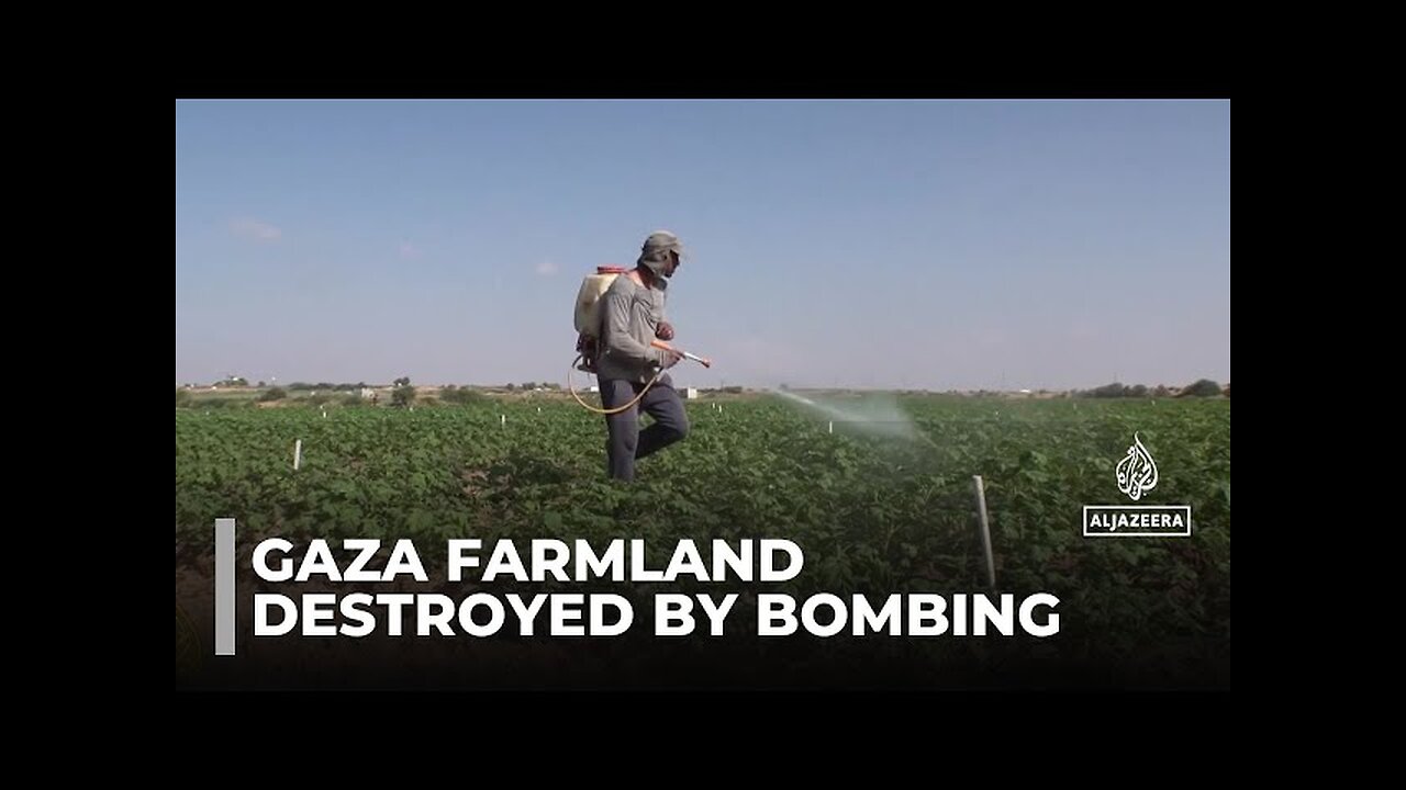 And Israel's near-constant bombardment has destroyed what was once fertile farmland @timetoscroll123