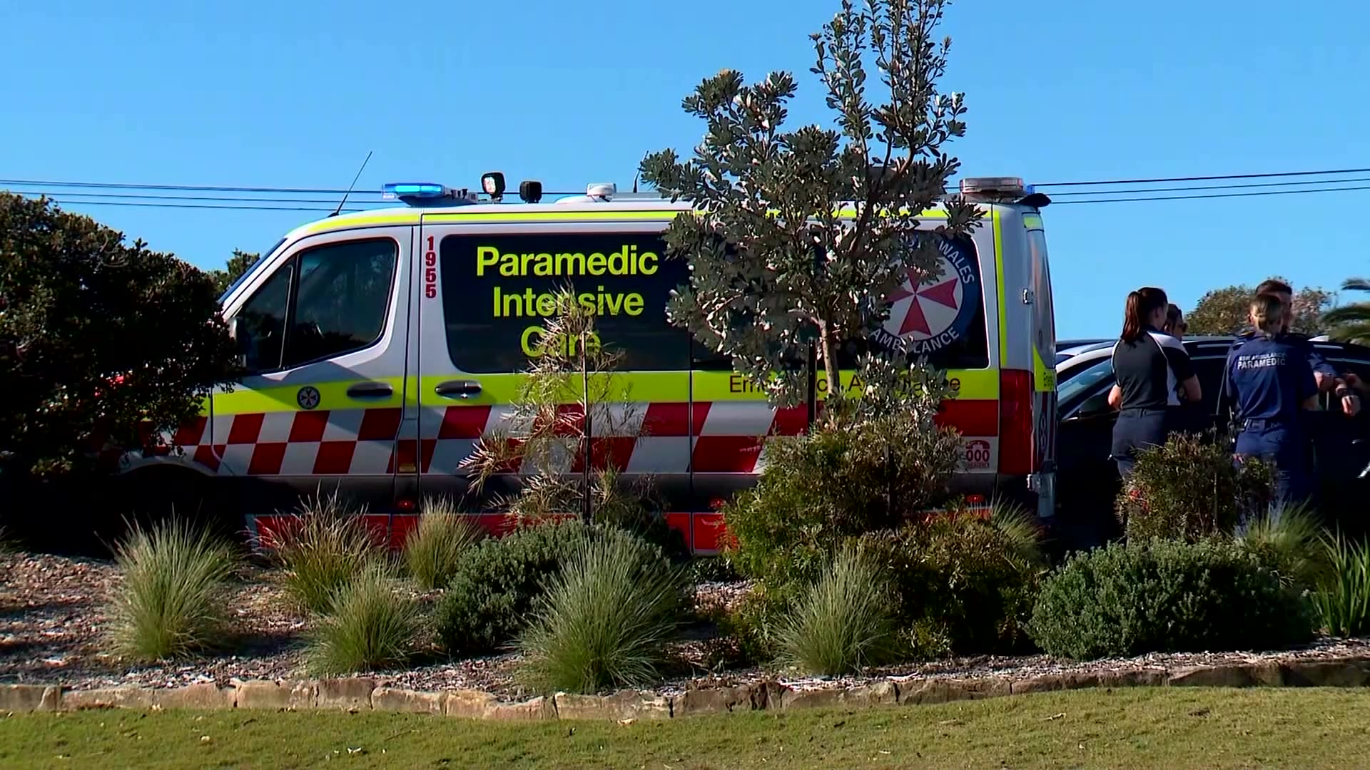 Plane makes emergency crash landing on Sydney golf course