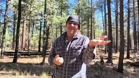 Congress Robs Us Blind