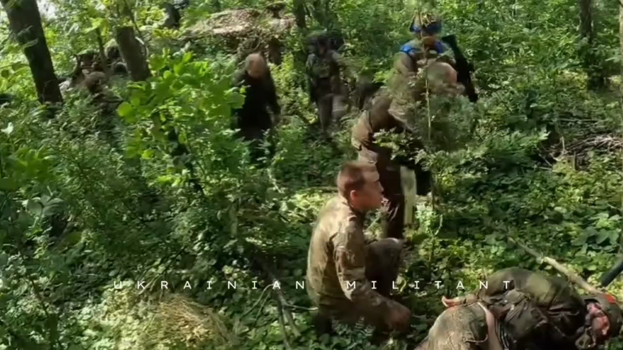 Intense Battle in Forested Area Leaves Russians Decimated