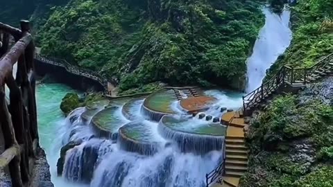 Nature beauty