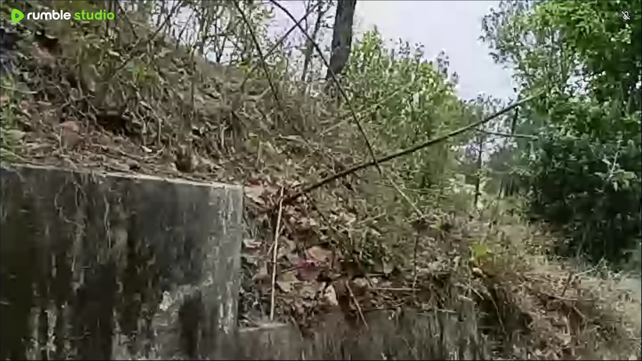 IRL stream