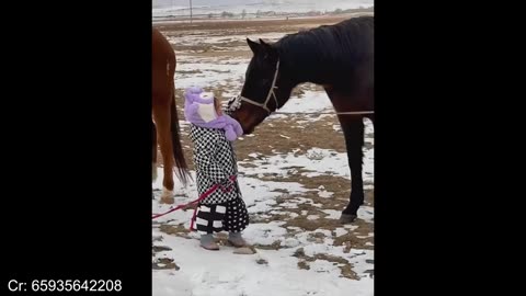 funny animal and human 2025 that will change your mood for good