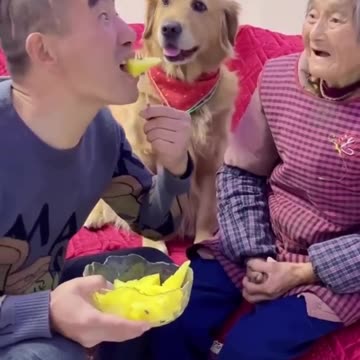 Never disrespect your elderly 🤣