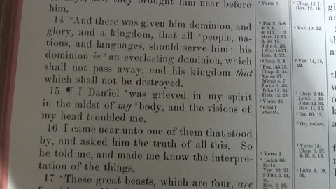Politics in Daniel 7