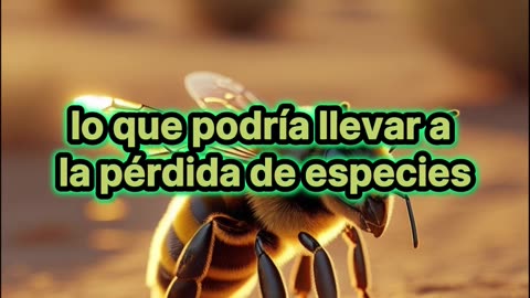 Nueva especie de abeja descubierta en Australia.