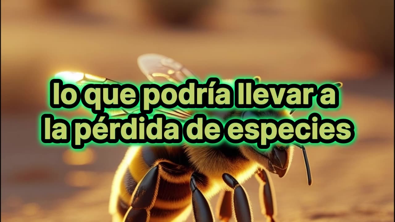 Nueva especie de abeja descubierta en Australia.