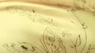 Pakistani shehzadi items girls Nora Fatiha ka big open live show tango pat -3