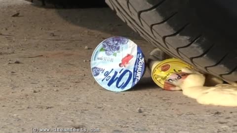Joyce Runs Over Stuff