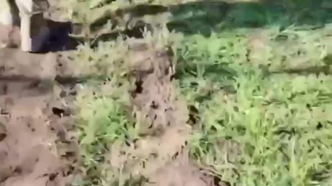 🚶‍♂️🏔️ Ukraine Russia War | RU POV: Russian Soldiers Advance Towards Pokrovsk | RCF