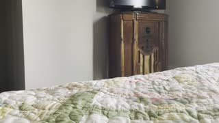 Video response