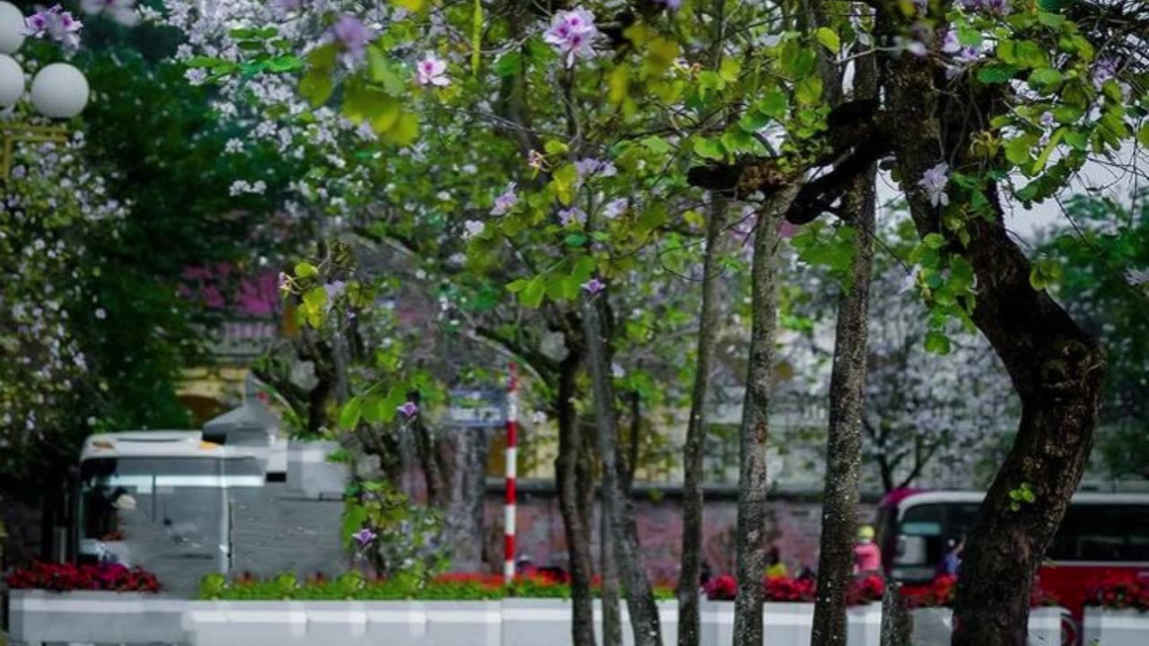 You Were Always Light