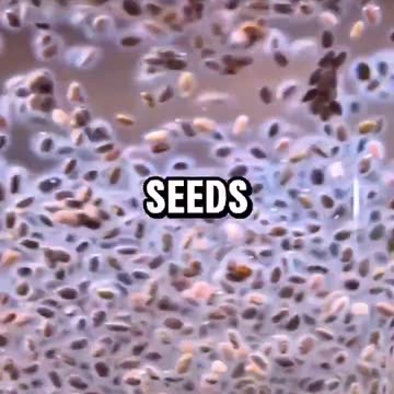 Did you know mixed turmeric and ginger will..