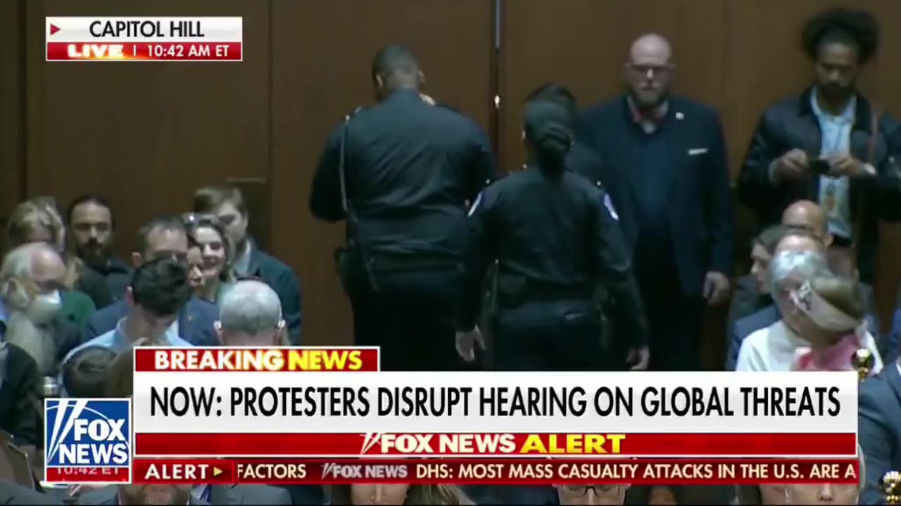 Ironic: Code Pink Radicals Infiltrate the Senate Intel Hearings