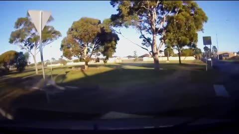 CRASHES YOU WON'T BELIEVE 18