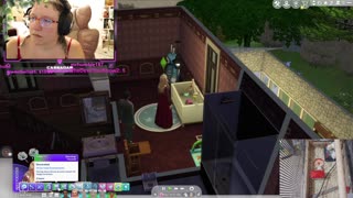 Chicken Live Stream