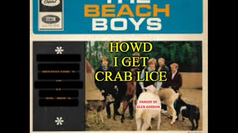 How'd i get crab lice (parody)
