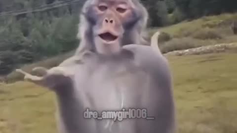 Funny video