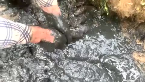 Mud Fishing