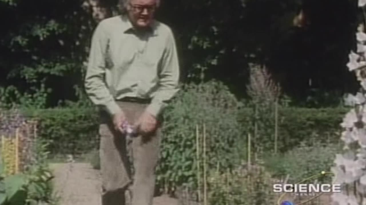 The Day The Universe Changed | E08 Fit to Rule | 1985