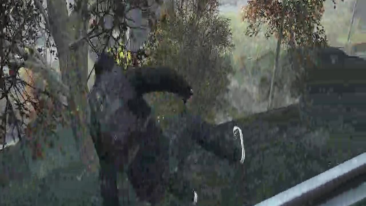 Dayz of PeredaTheOne
