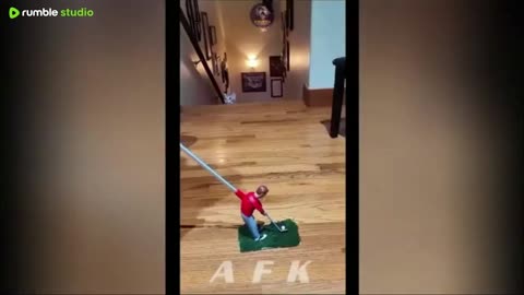 Best Of The 2025 Funny Animal Videos