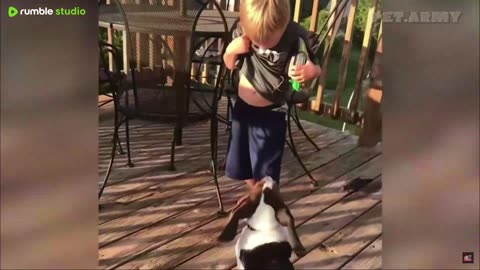 Best Of The 2025 Funny Animal Videos
