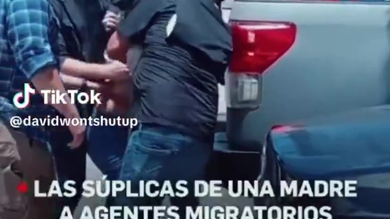 Ice is grabbing all the illegals