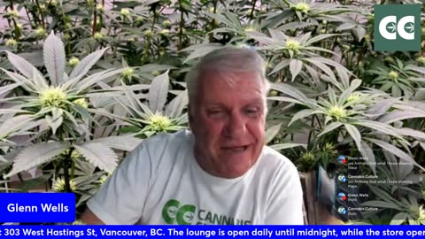 The THC show with Glenn Wells