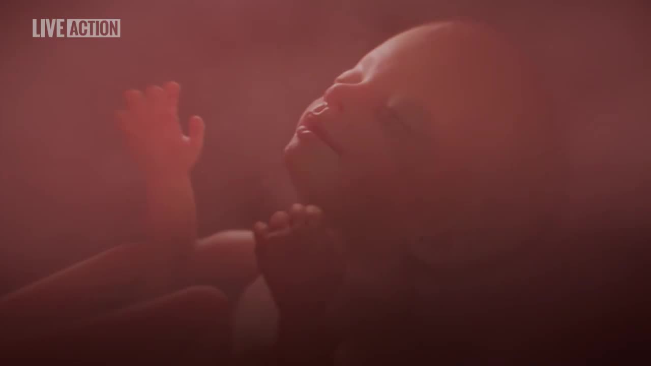 IDAHO’S GOVERNOR JUST SIGNED A LAW REQUIRING STUDENTS TO LEARN HUMAN DEVELOPMENT IN THE WOMB